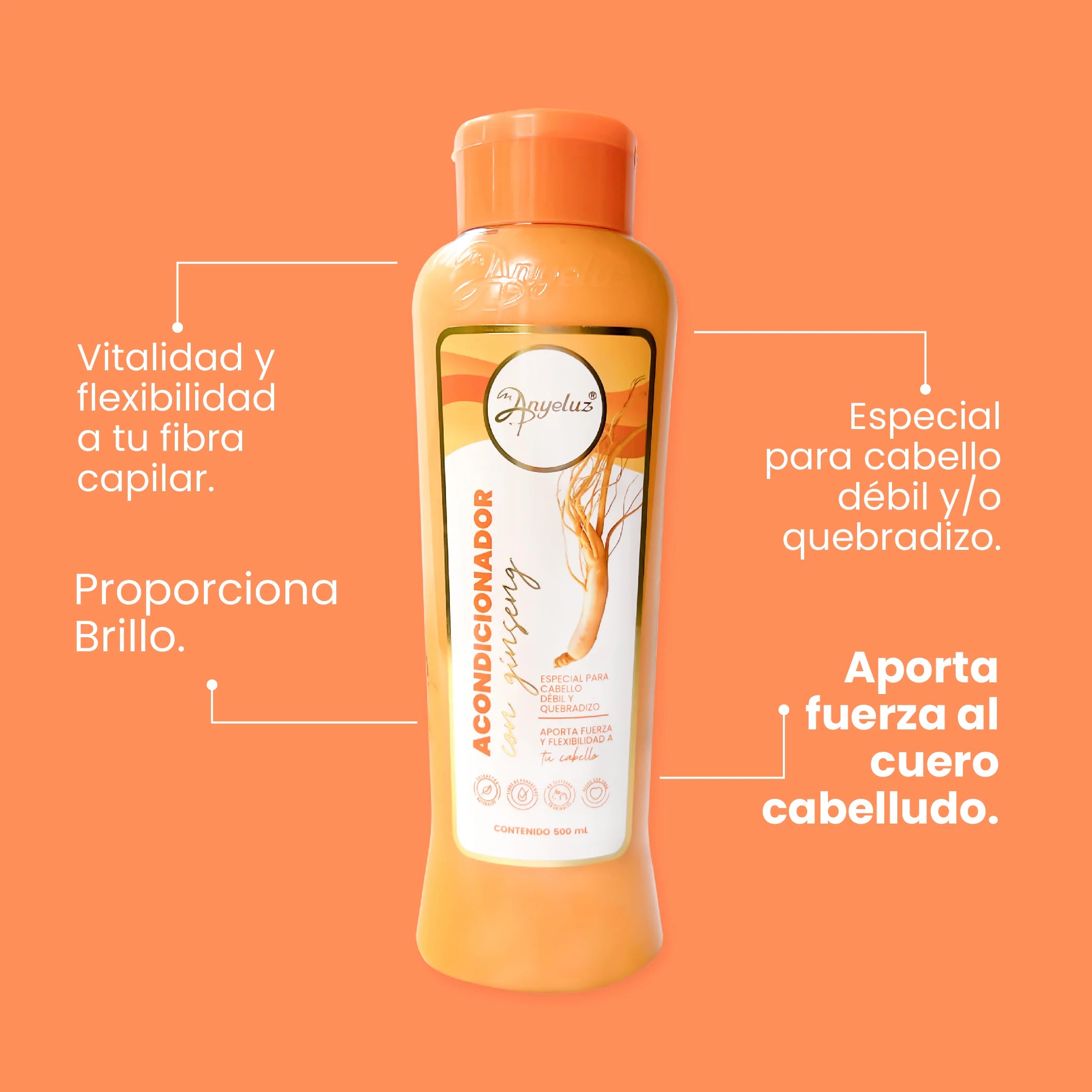 Acondicionador con GINSER