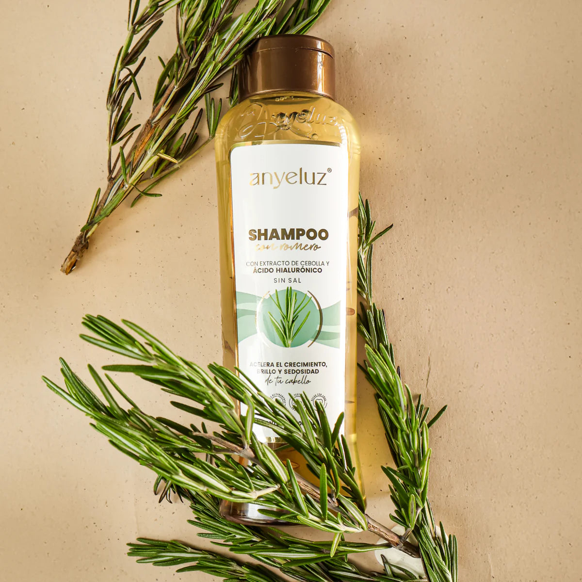 SHAMPOO CON ROMERO ANYELUZ