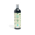 Shampoo de Romero Para Cabello Graso La Receta Full Size